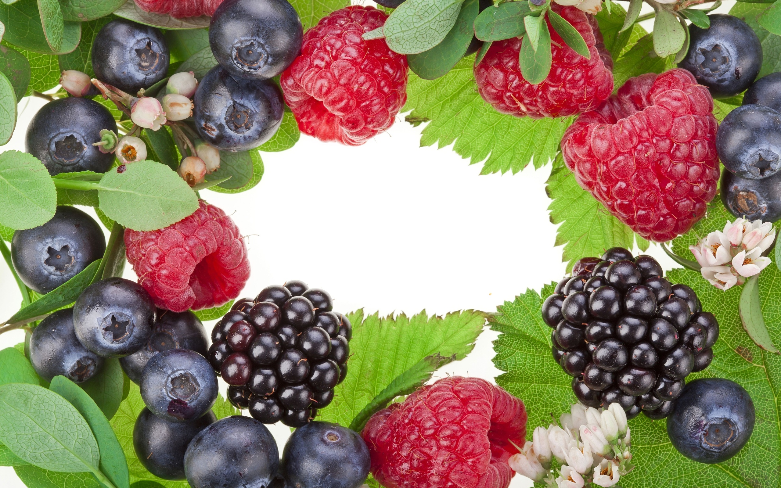 Food Berry HD Wallpaper Background Image.