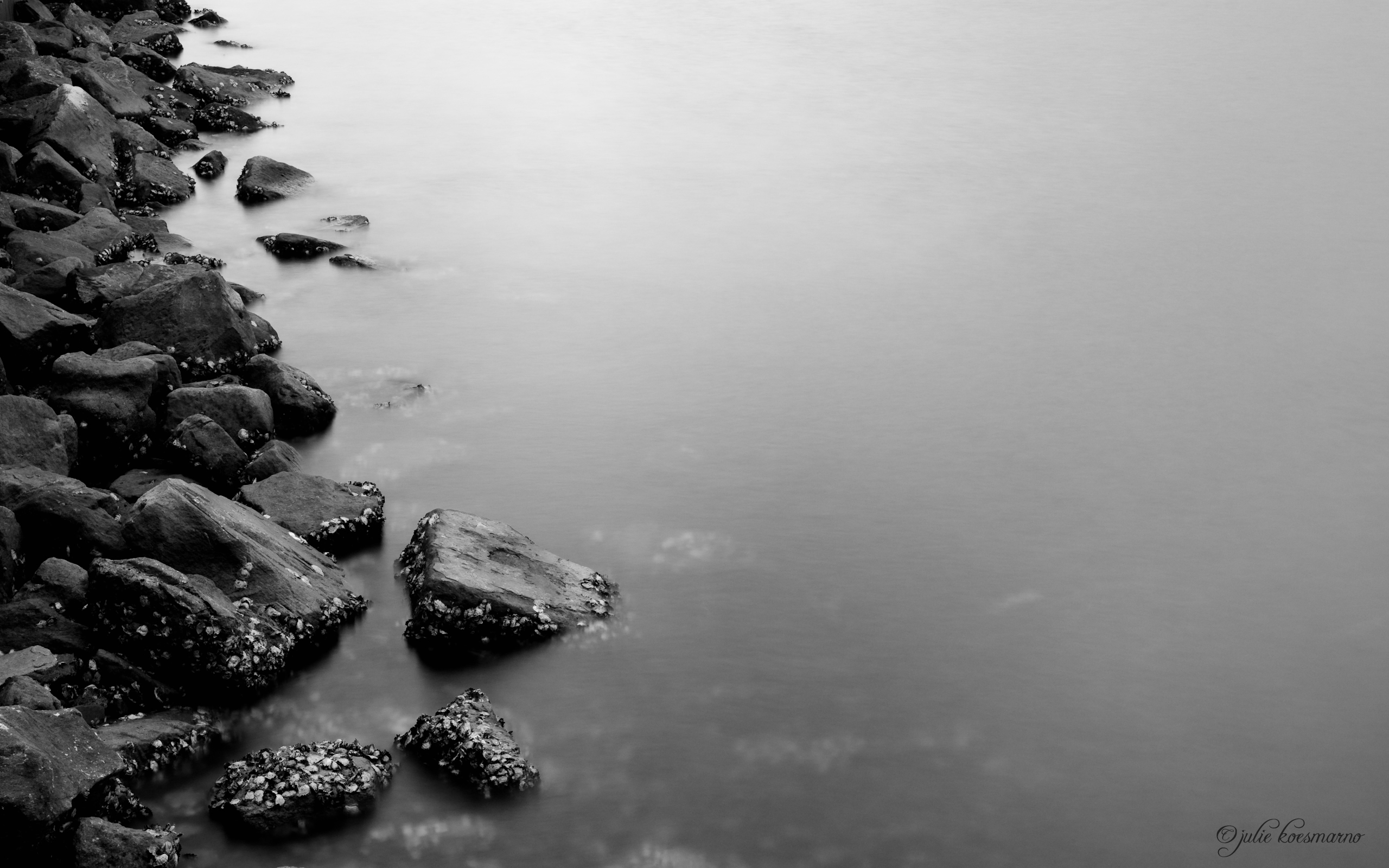 Beautiful Black And White Photography High Resolution