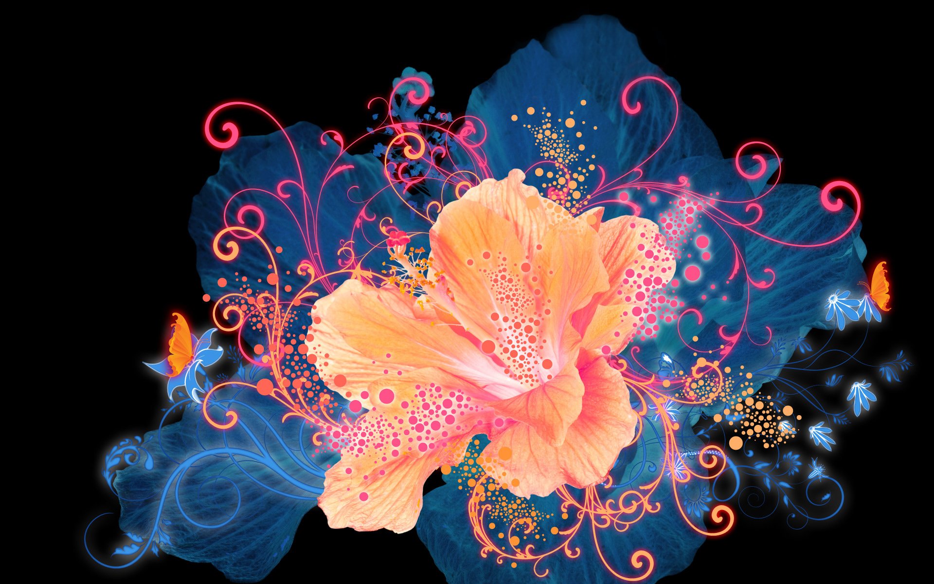HD desktop wallpaper featuring an artistic, vibrant flower in bright orange and pink hues, surrounded by swirling, colorful patterns against a dark background.