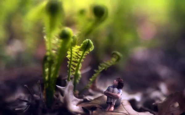 photography manipulation HD Desktop Wallpaper | Background Image