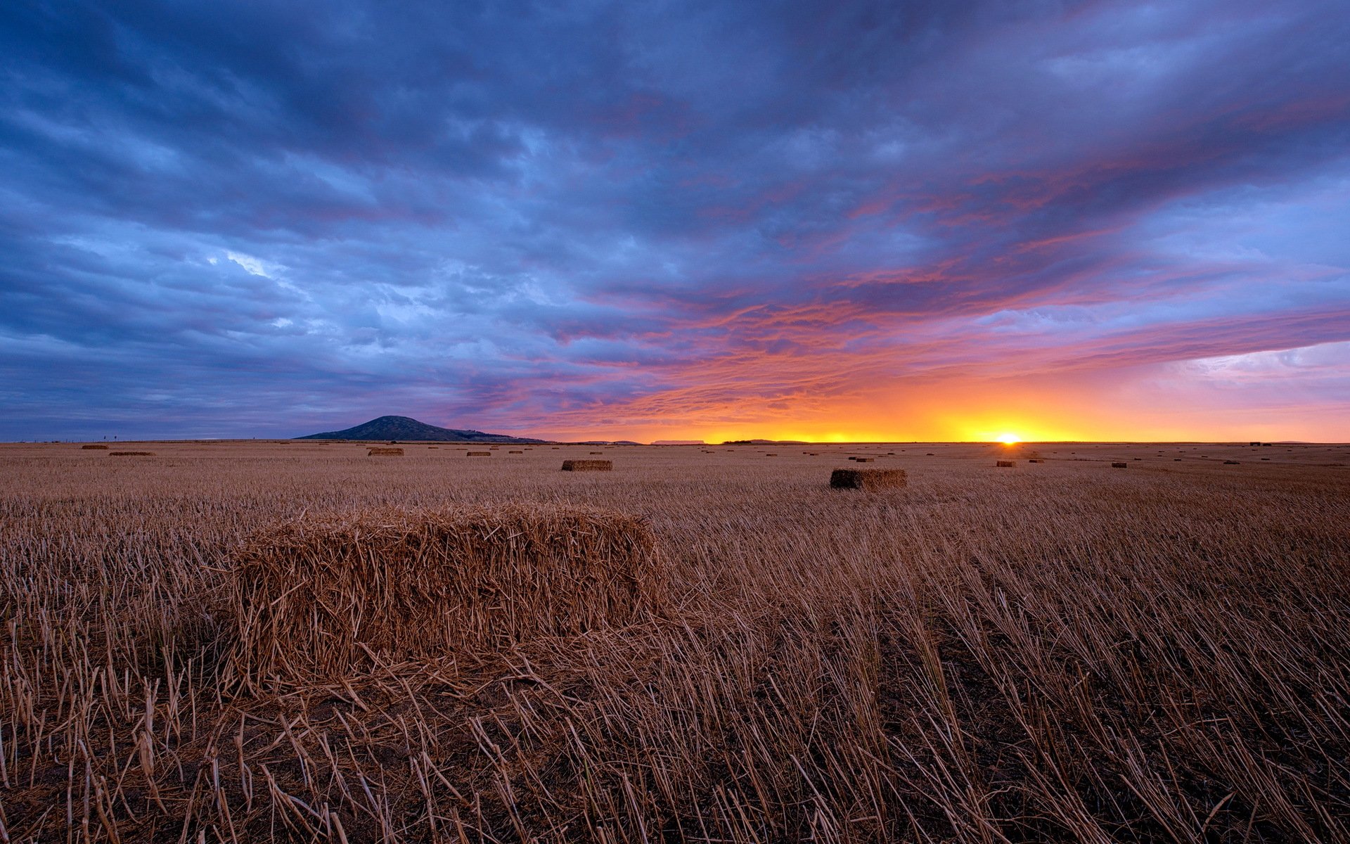 Download Nature Sunset HD Wallpaper | 1920x1200 | Wallpaper Abyss