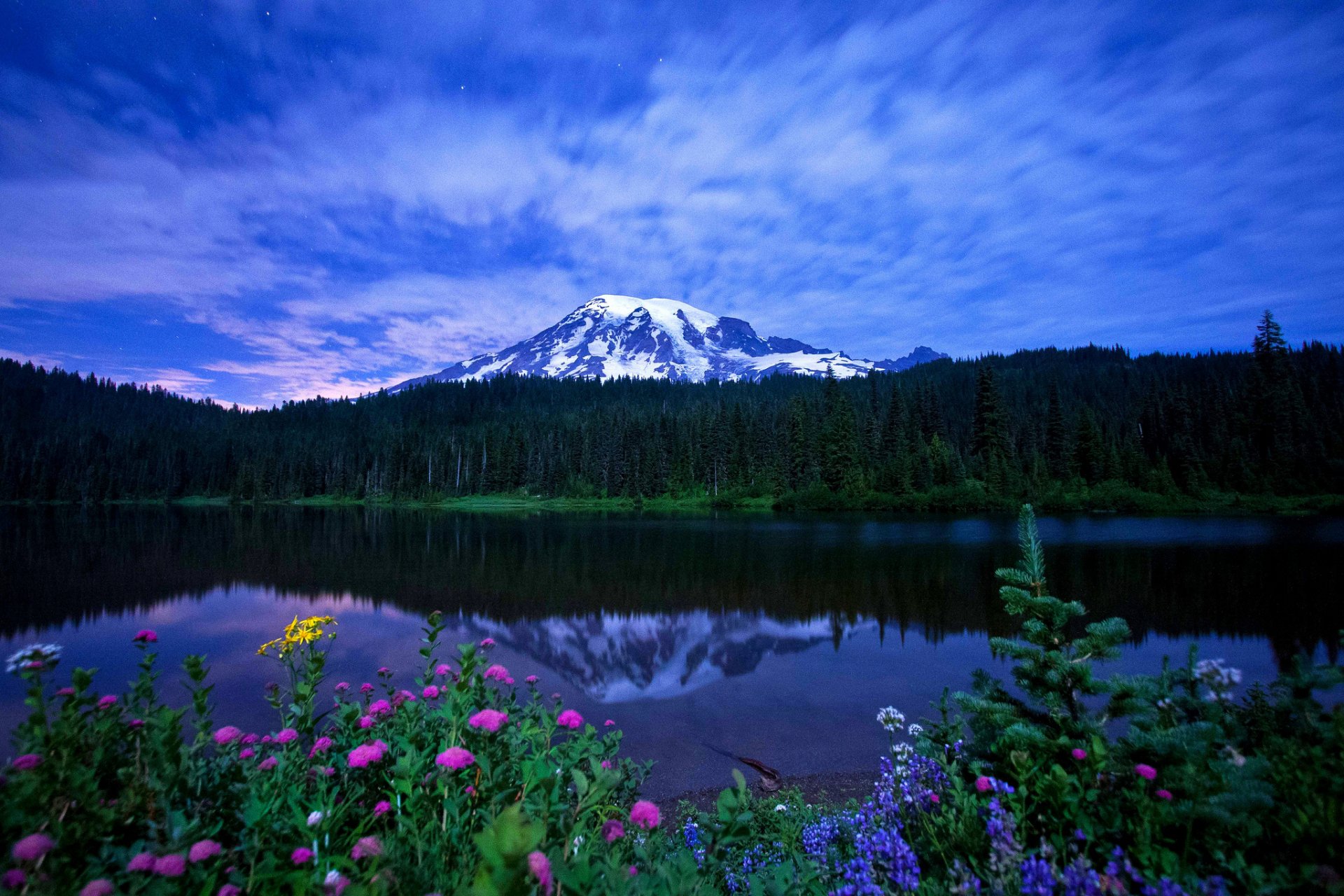 HD PC desktop wallpaper showcasing a serene nature scene with a snow-capped mountain reflected in a calm lake, surrounded by vibrant wildflowers and dense forest.