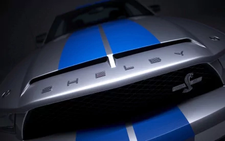 HD PC desktop wallpaper of a silver Ford Mustang Shelby Cobra GT 500 vehicle, close-up of the front grille, Shelby emblem and blue racing stripes.