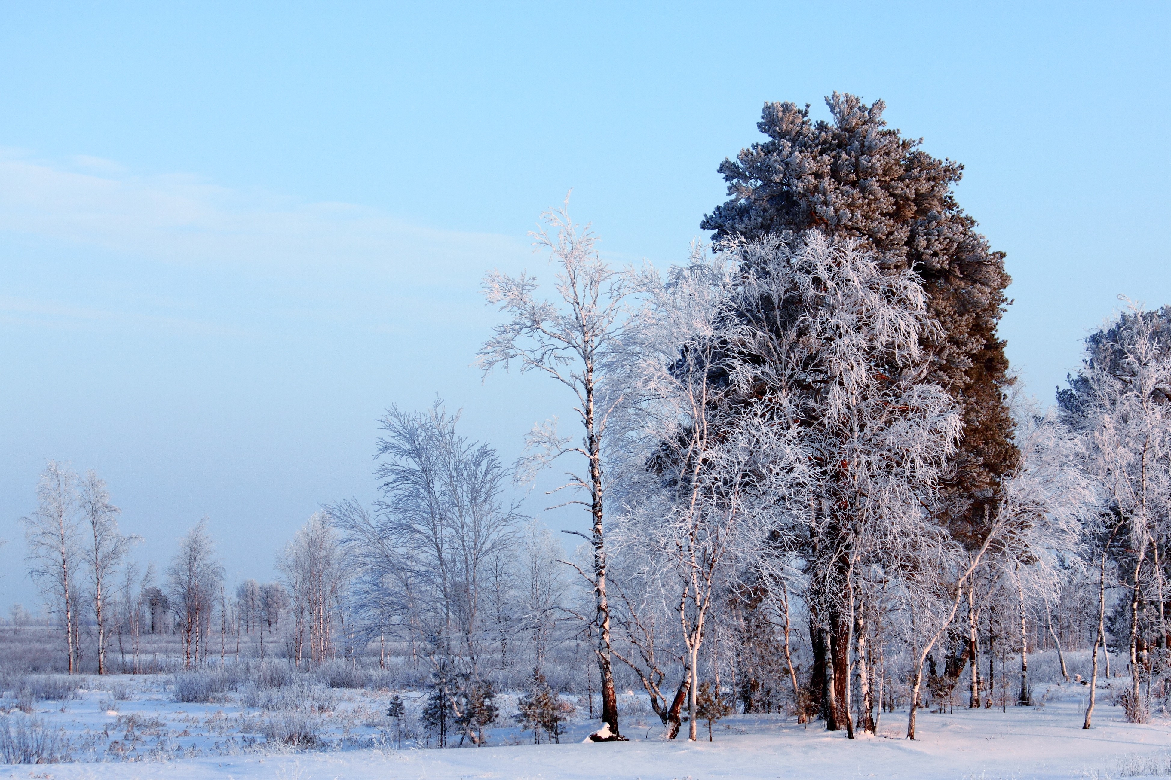 Nature Winter 4k Ultra HD Wallpaper