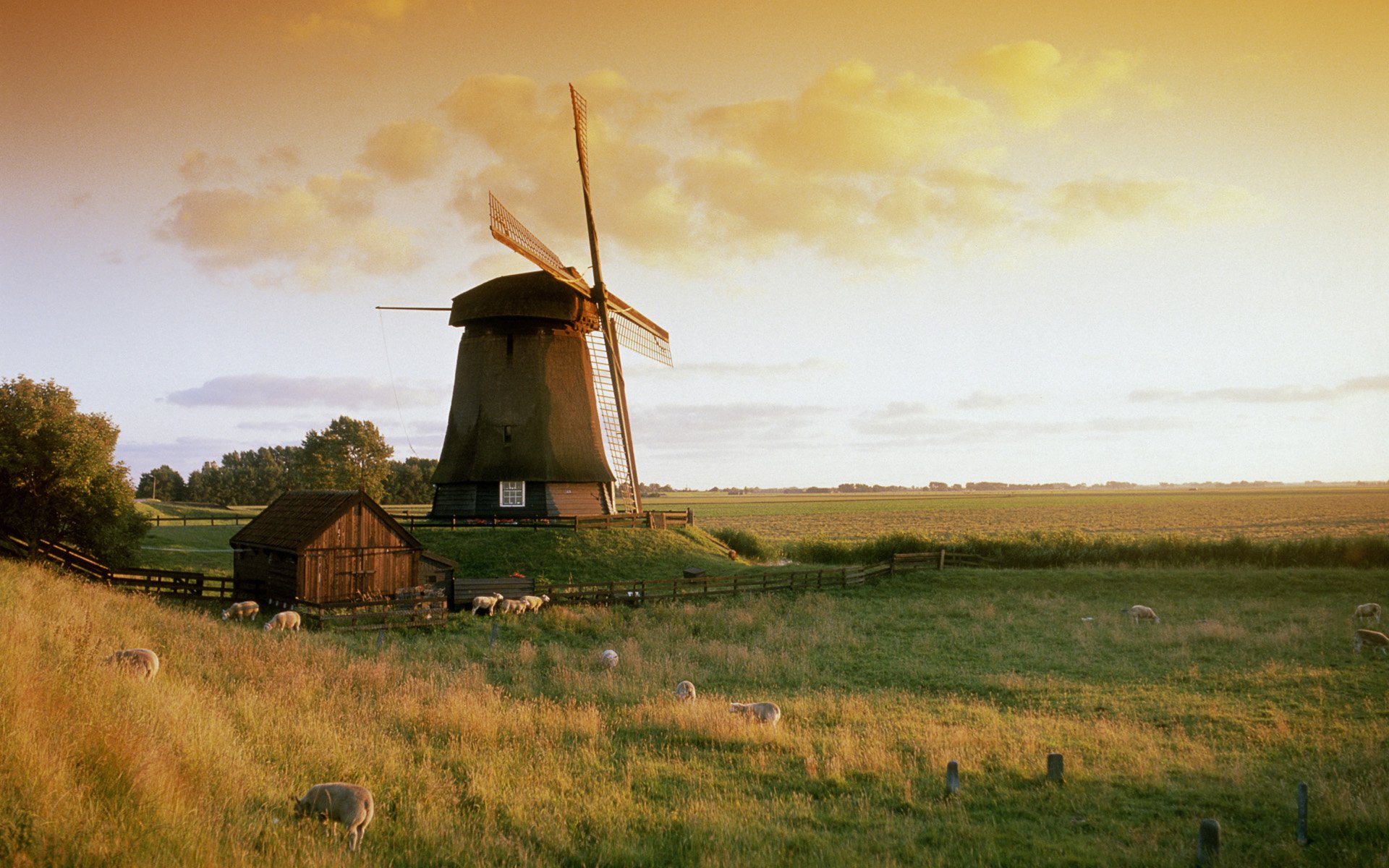 Download Man Made Windmill HD Wallpaper