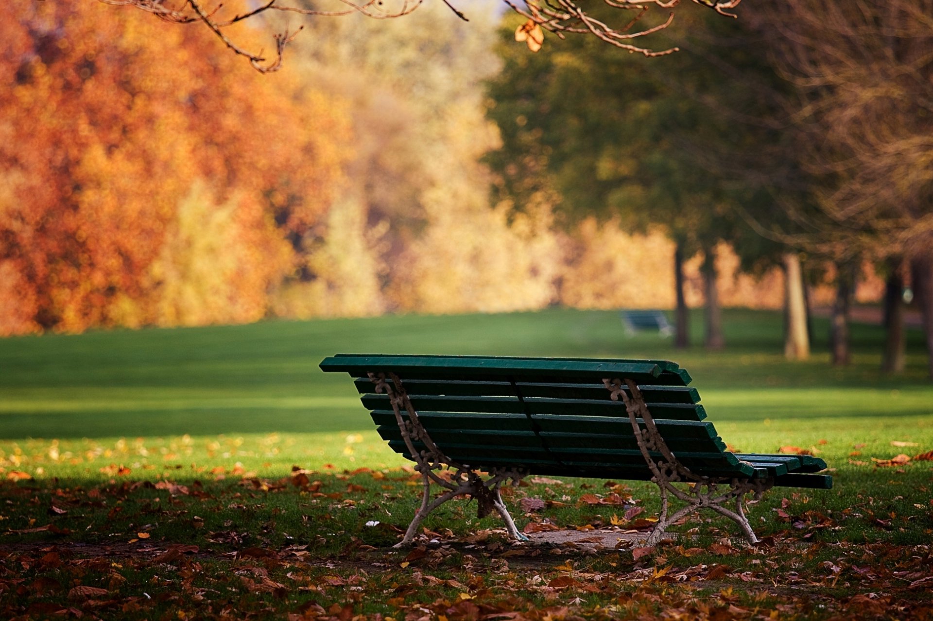 Download Park Bokeh Man Made Bench HD Wallpaper | 1944x1295 | Wallpaper ...