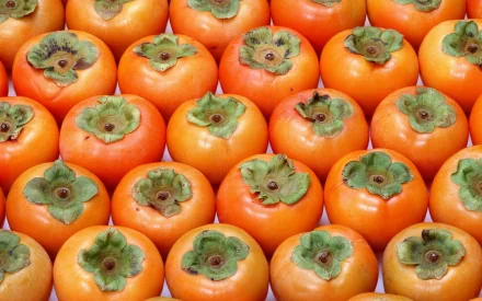 HD PC desktop wallpaper featuring a vibrant close-up of fresh persimmons arranged in neat rows, highlighting their bright orange color and green leafy tops.