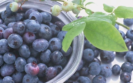 HD PC desktop wallpaper: close-up of fresh blueberries in a bowl with dewy green leaves, food-themed background.