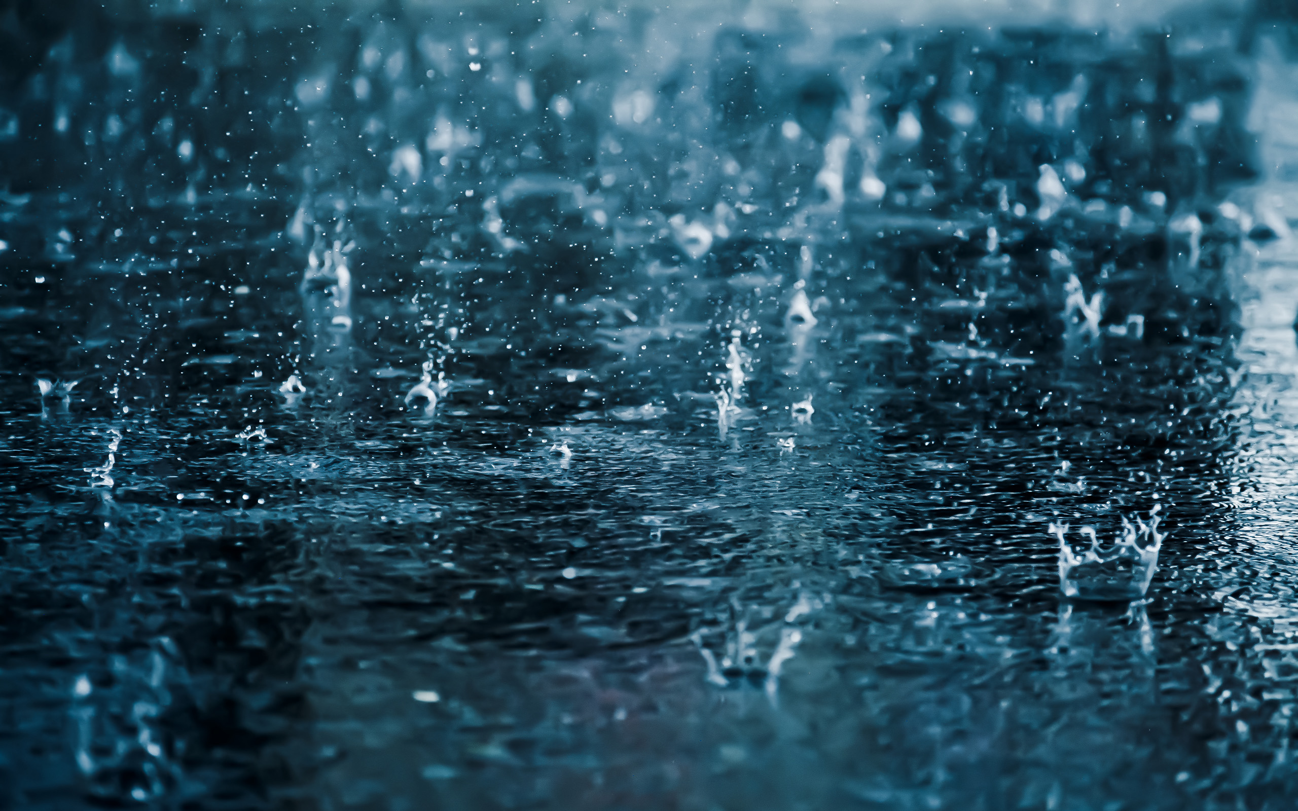 Rain HD Wallpaper | Background Image