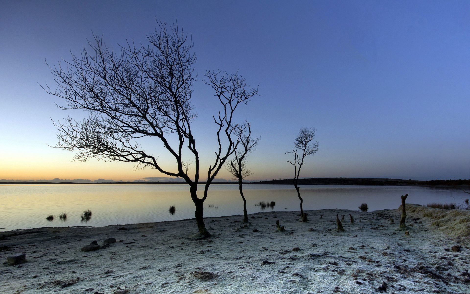 2K Quad HD PC desktop wallpaper and background: serene nature landscape at dusk with bare trees silhouetted by calm reflective water and a frost-covered shoreline under a deep blue sky.