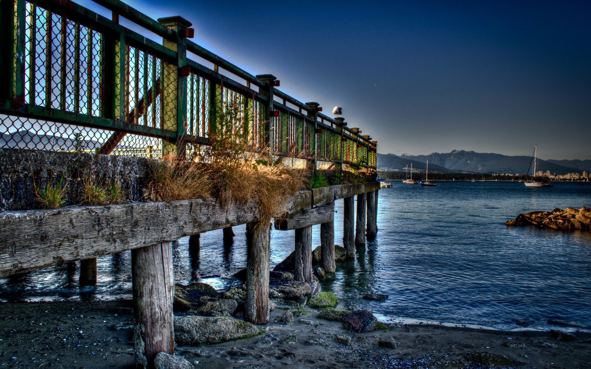 Download Man Made Bridge HD Wallpaper | 2560x1600 | Wallpaper Abyss
