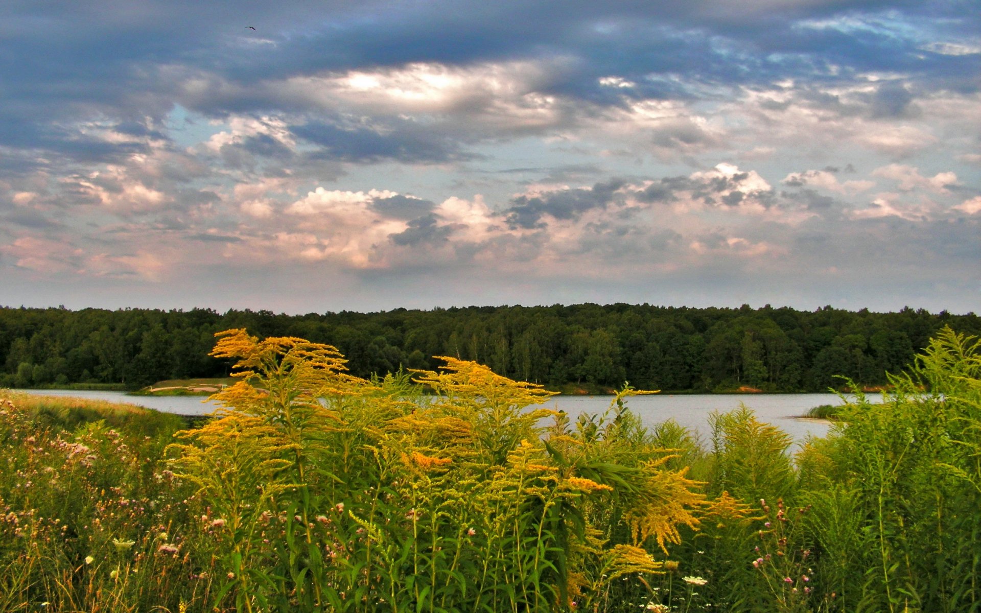 Download Nature Landscape HD Wallpaper