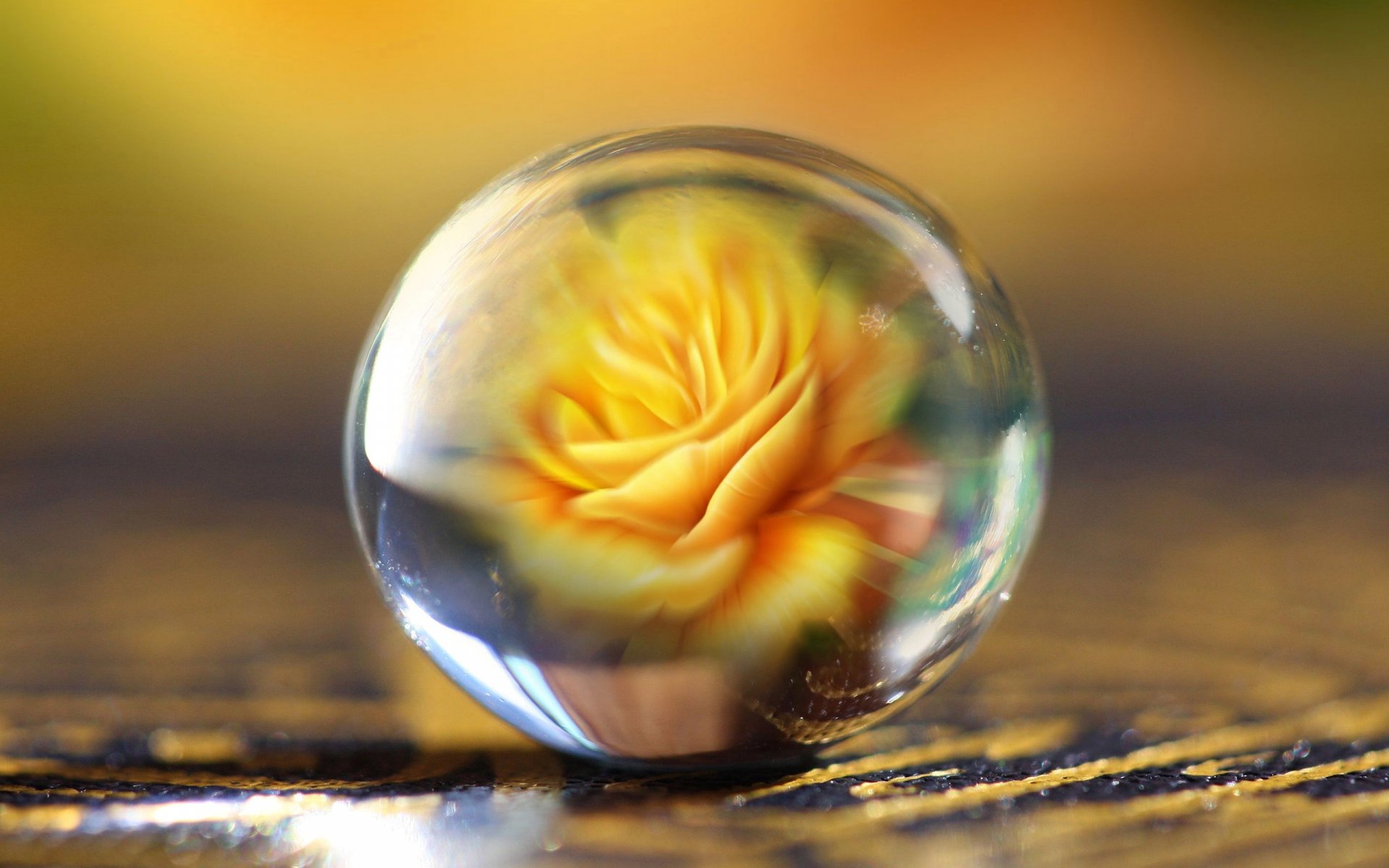Artistic 3D HD desktop wallpaper featuring a vibrant yellow rose magnified and distorted inside a clear glass sphere on a textured surface.