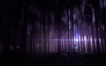 76 Wizard HD Wallpapers | Background Images - Wallpaper Abyss