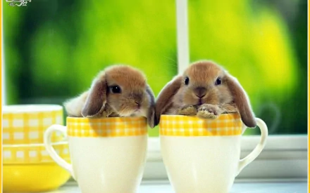HD PC desktop wallpaper featuring two adorable rabbits sitting inside yellow-checked teacups against a bright, blurred green background.