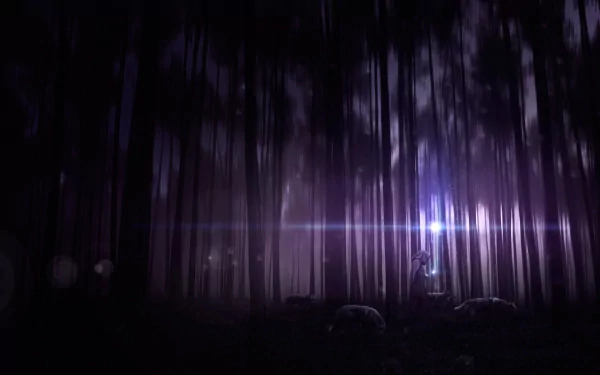 HD fantasy desktop wallpaper showing a mysterious wizard casting a glowing spell in a dark, dense forest at night.