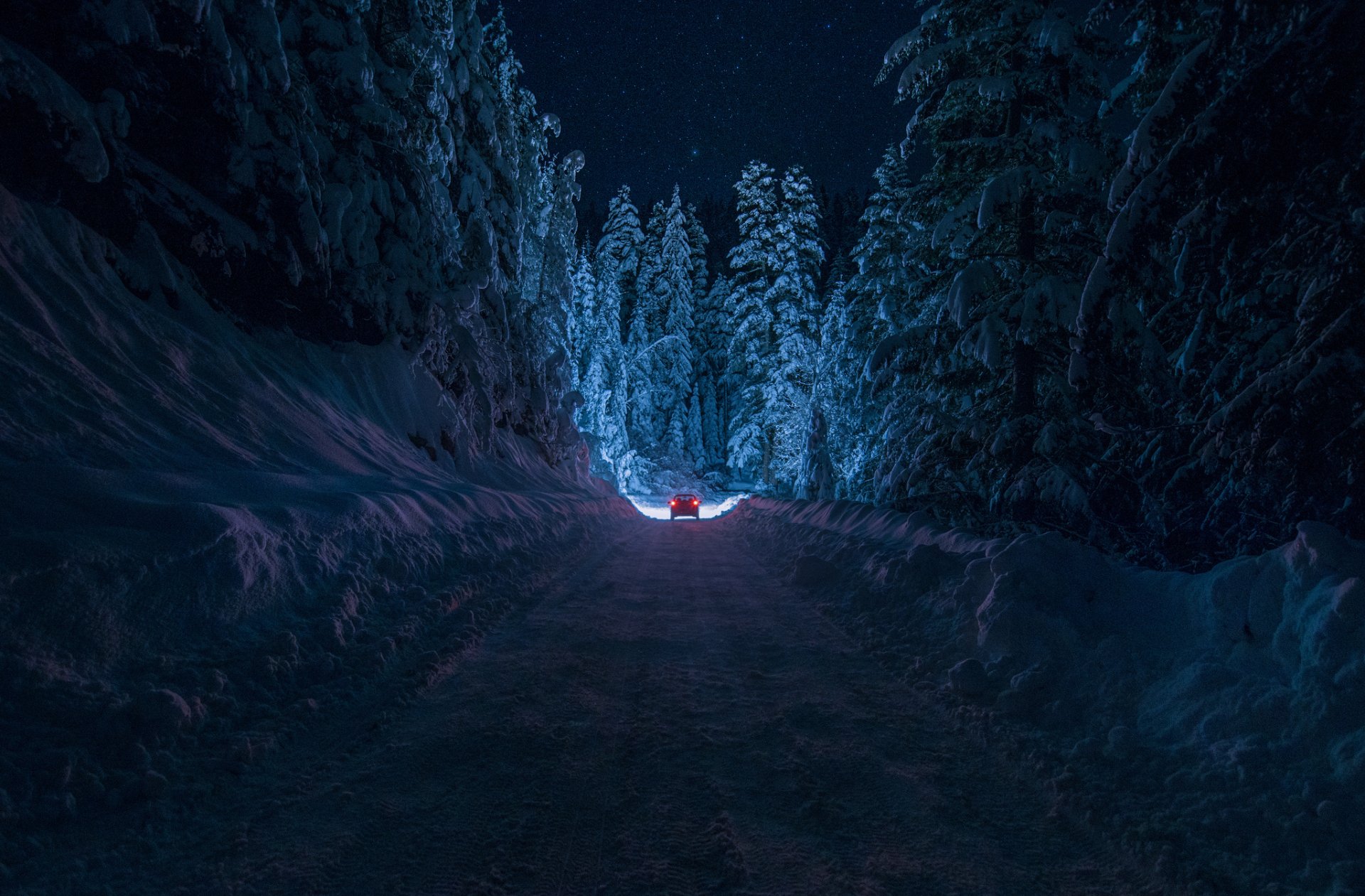 HD winter photography of a snowy forest road at night, illuminated by the red taillights of a car driving away through tall, snow-covered trees.