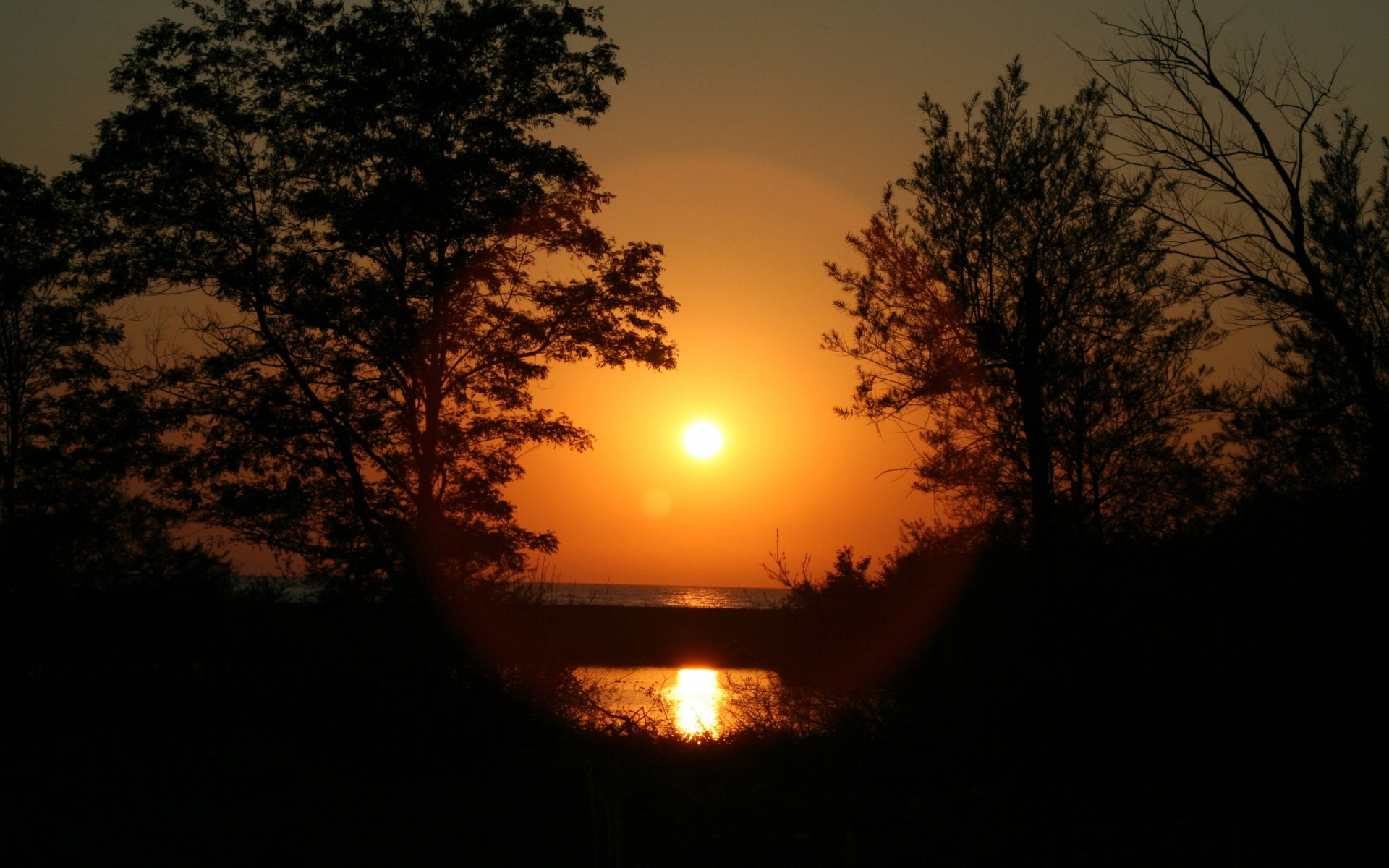 HD PC desktop wallpaper showing a vibrant sunset over a calm body of water, framed by silhouetted trees in a peaceful natural setting.