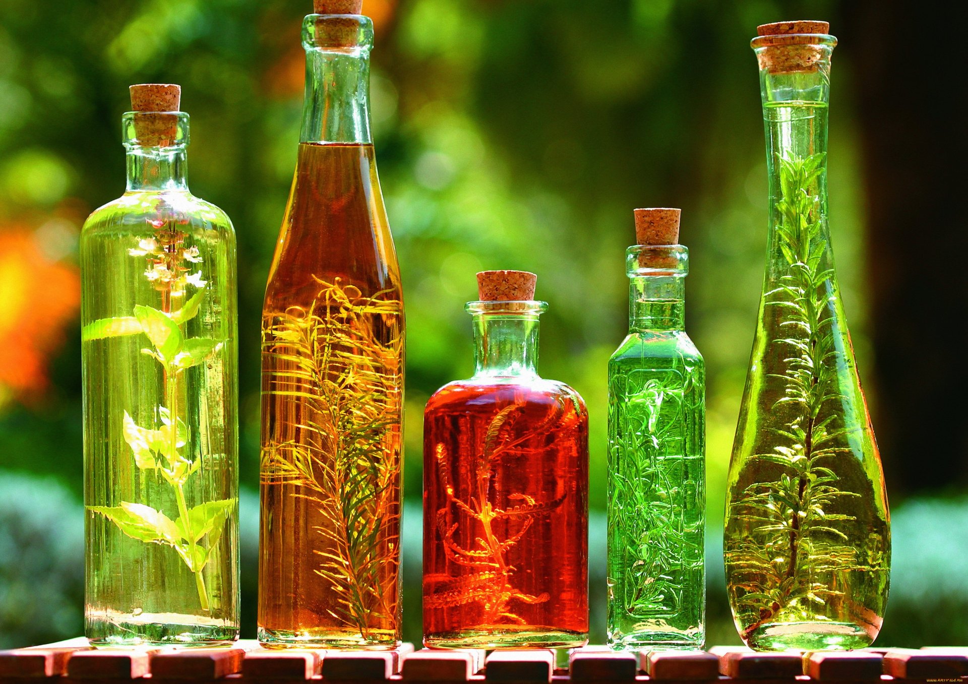 HD desktop wallpaper showcasing glass bottles filled with various herbs and spices infused in liquids against a blurred green natural background.