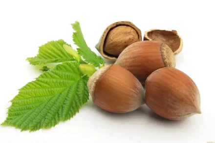 food hazelnut HD Desktop Wallpaper | Background Image