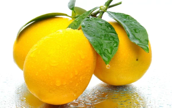 HD desktop wallpaper featuring fresh, vibrant yellow lemons with green leaves covered in water droplets against a clean, white background.