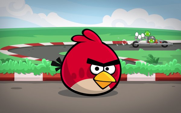 Video Game Angry Birds Game Bird Heikki Wallpaper