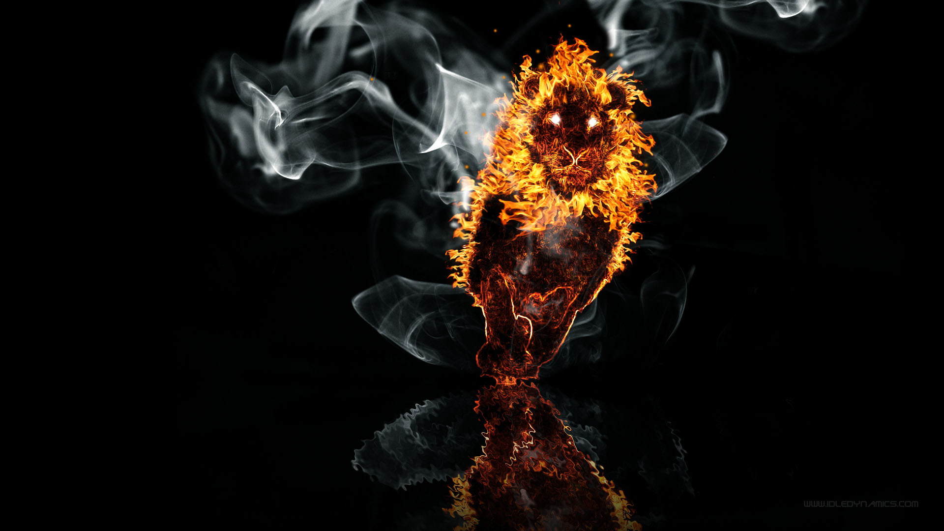 Lion Fire On The Water Hd Wallpaper Background Image 1920x1080