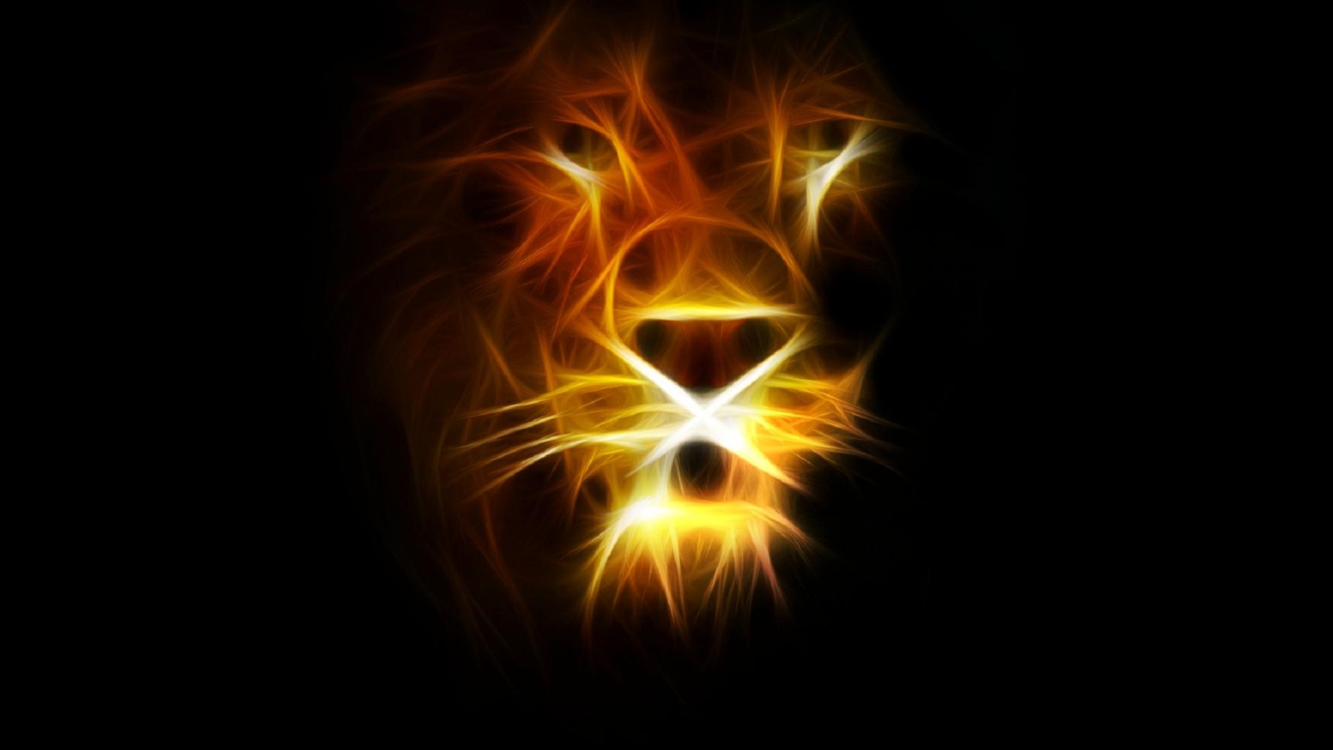 Lion HD Wallpaper