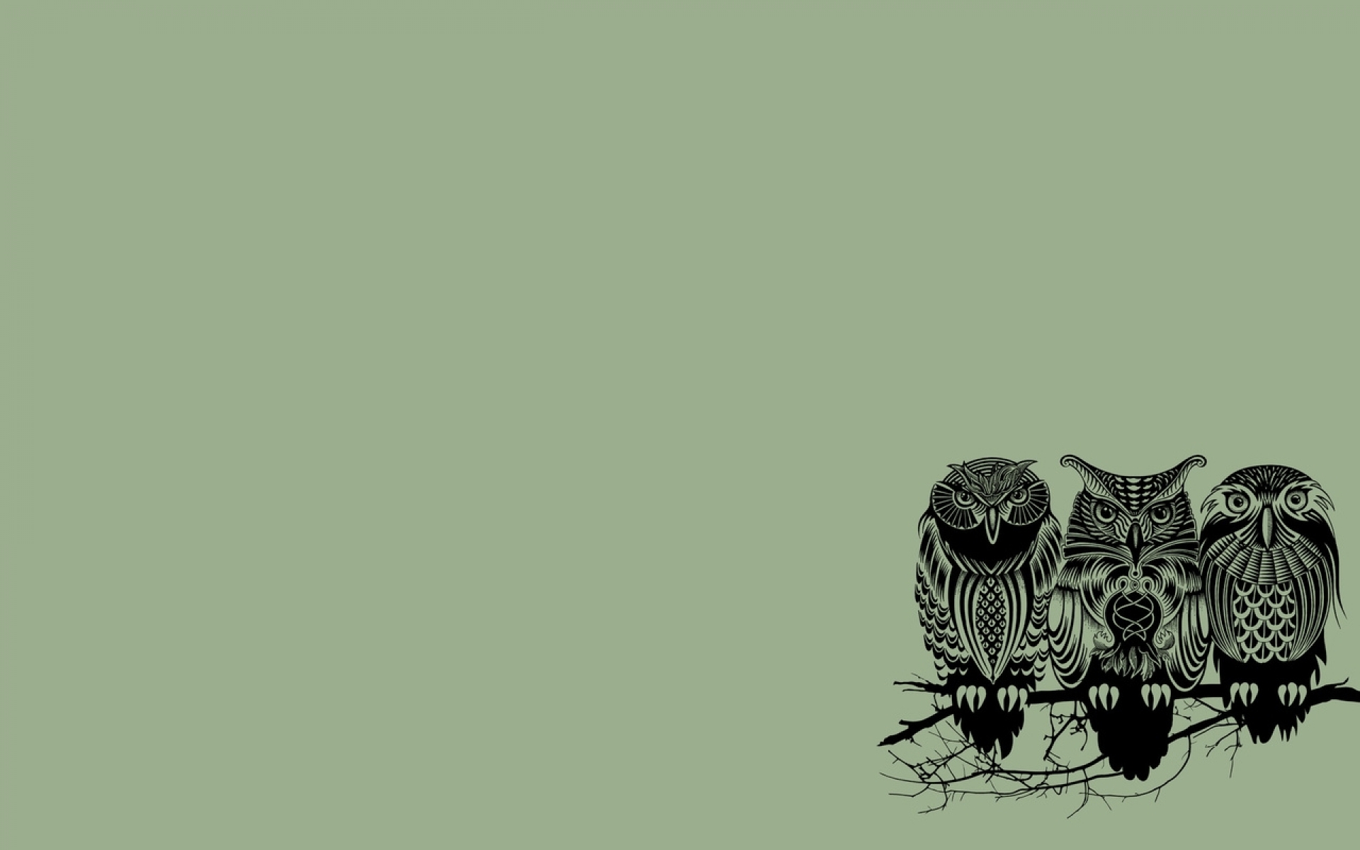 owls wallpaper desktop