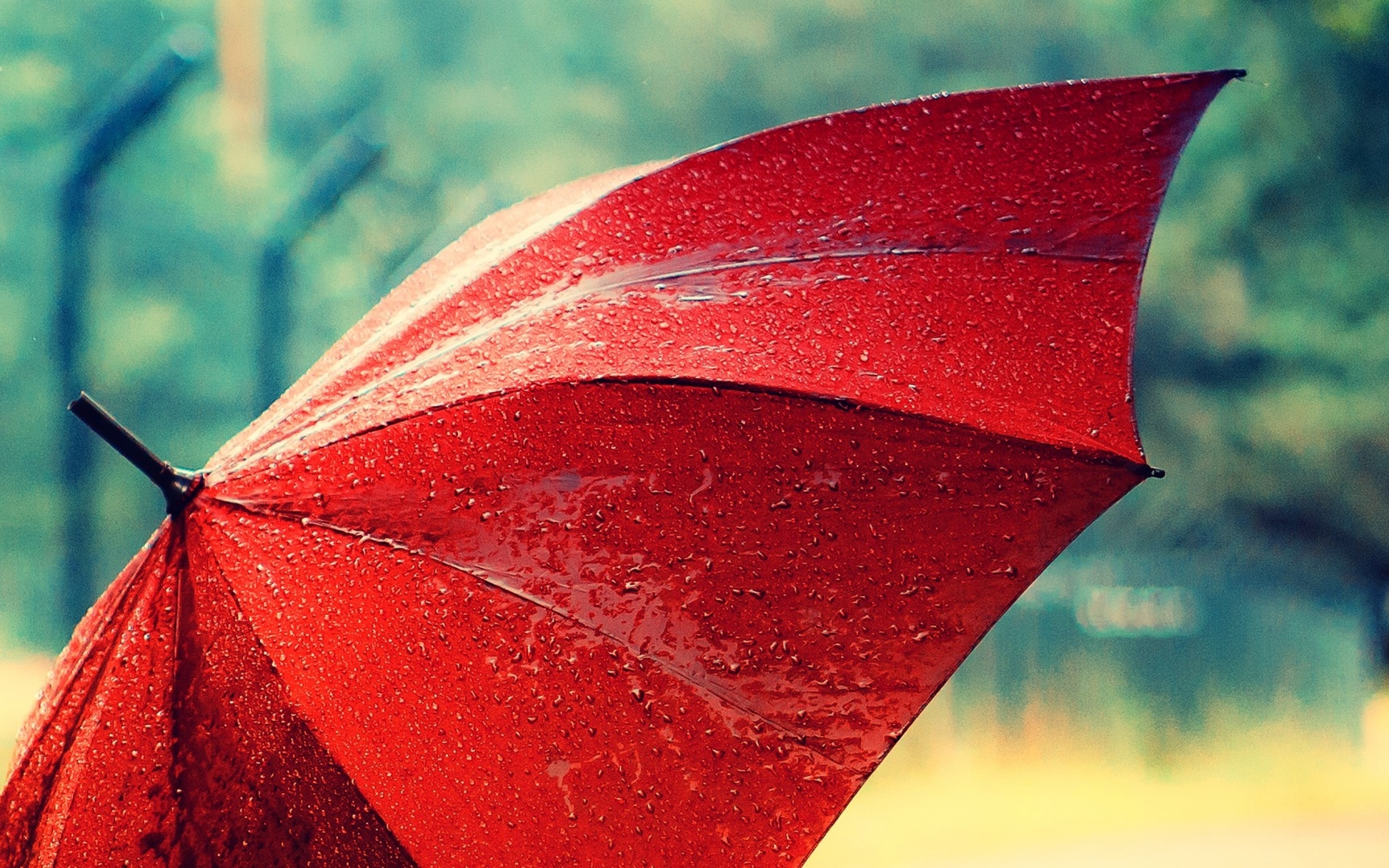 Umbrella HD Wallpaper | Background Image | 2560x1600 | ID:372850