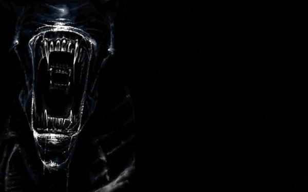 Movie Alien Xenomorph HD Wallpaper | Background Image