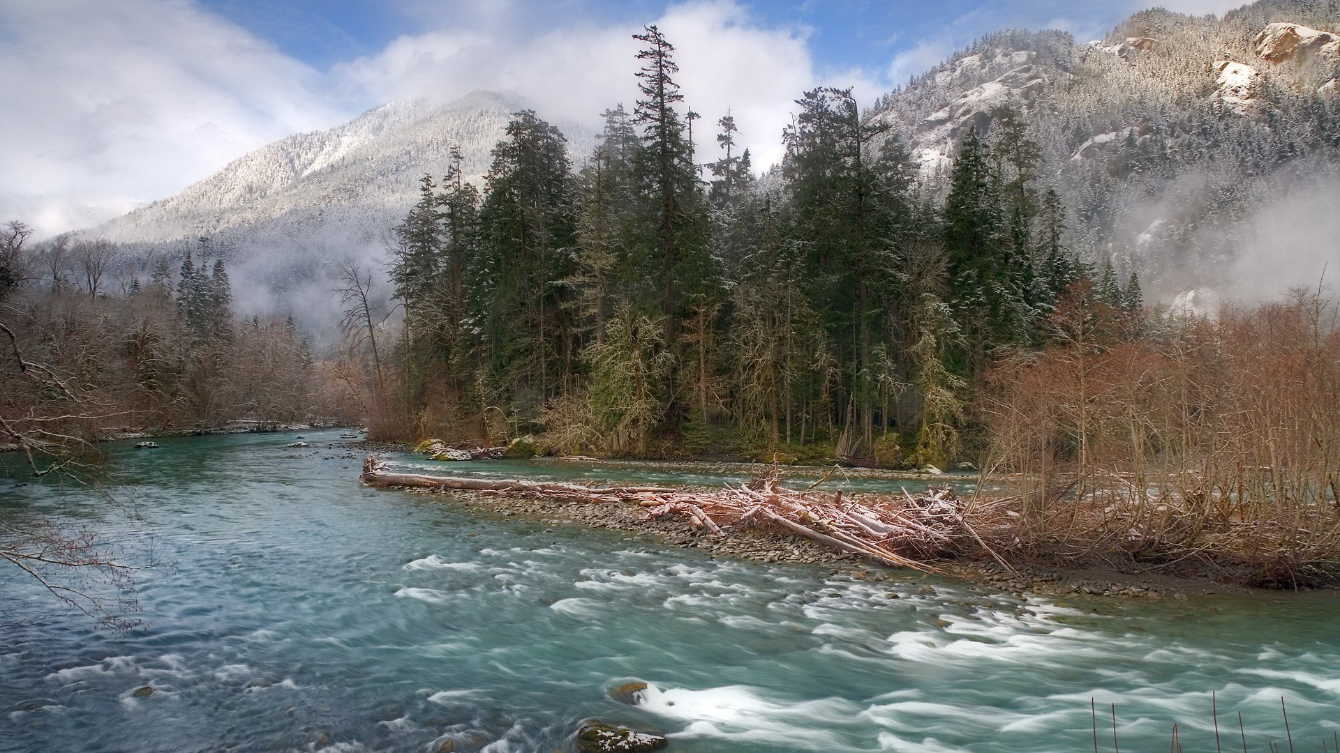 HD PC desktop wallpaper/background: Elwha River rushing past a forested riverbank with driftwood, framed by snow-dusted mountains and a misty, moody sky.