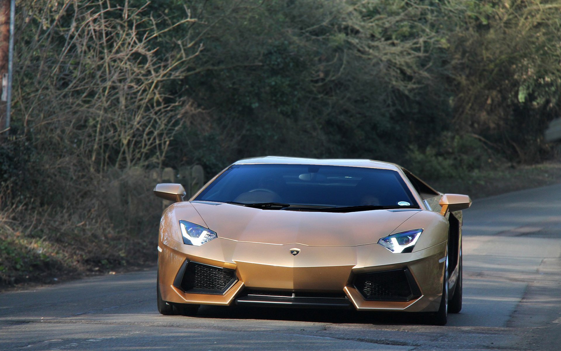 Lamborghini Aventador HD Wallpaper