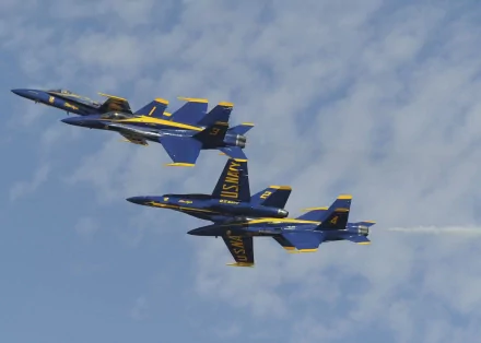  Blue Angels - McDonnell Douglas F/A-18 Hornet by Jen Blake