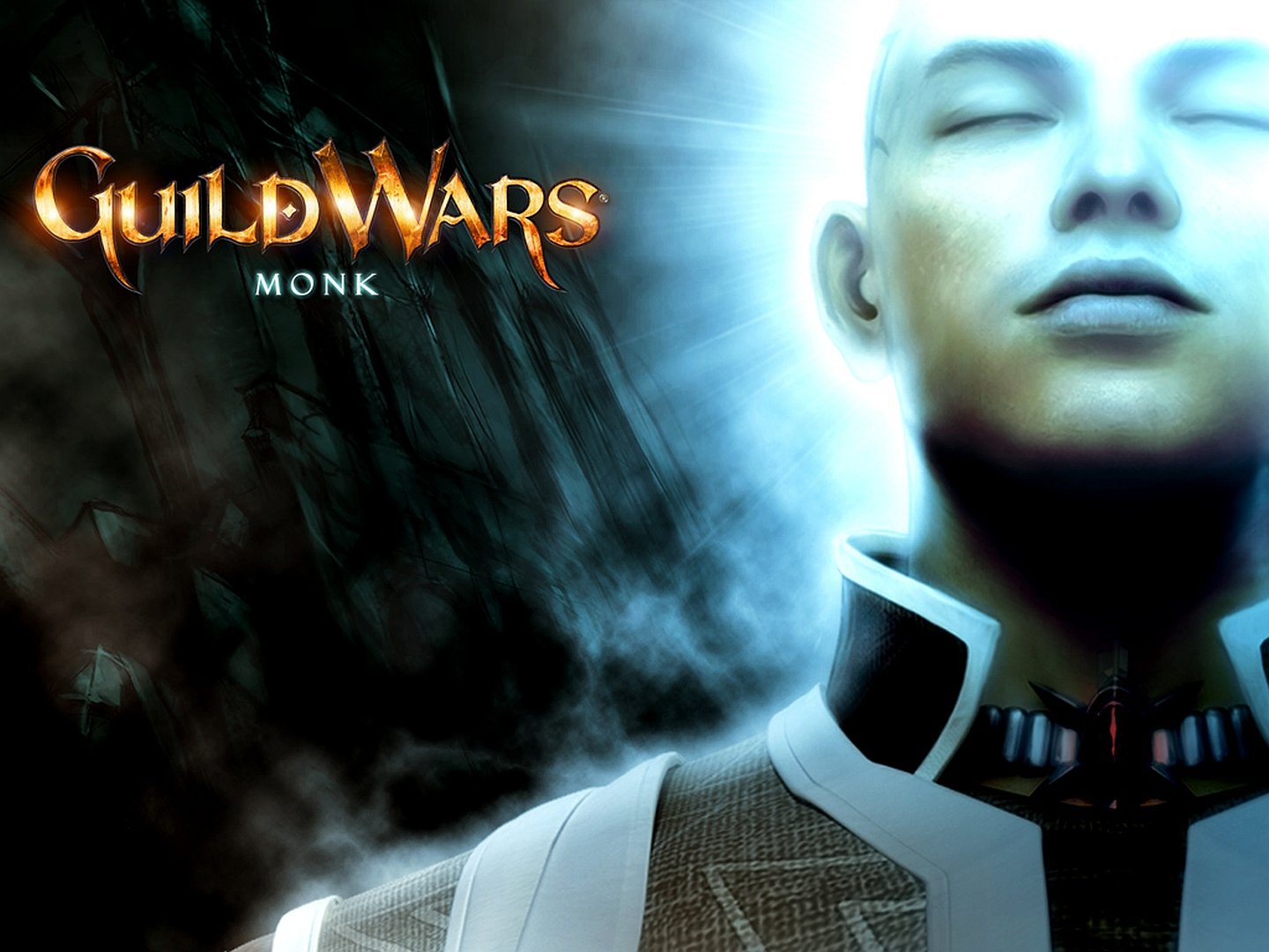 Download Video Game Guild Wars Wallpaper