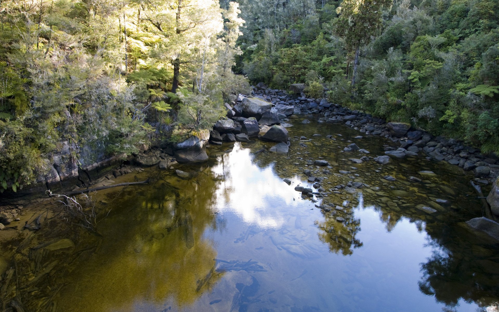 Download Nature River HD Wallpaper