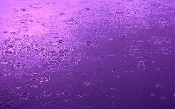 Raindrops create ripples on a vibrant purple surface, captured in this stunning HD photography. An evocative wallpaper for desktops, emphasizing the beauty of nature.