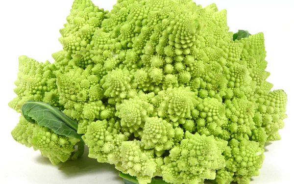 HD desktop wallpaper featuring a close-up of vibrant green Romanesco broccoli with intricate, natural fractal patterns against a white background.
