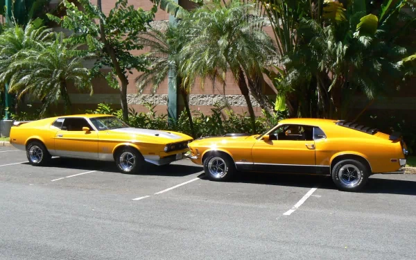 Two yellow Ford Mustang Mach 1 cars parked side by side in a lot with palm trees in the background, captured in high-definition for a PC desktop wallpaper.