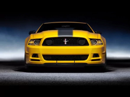  2013 Ford Mustang Boss 302
