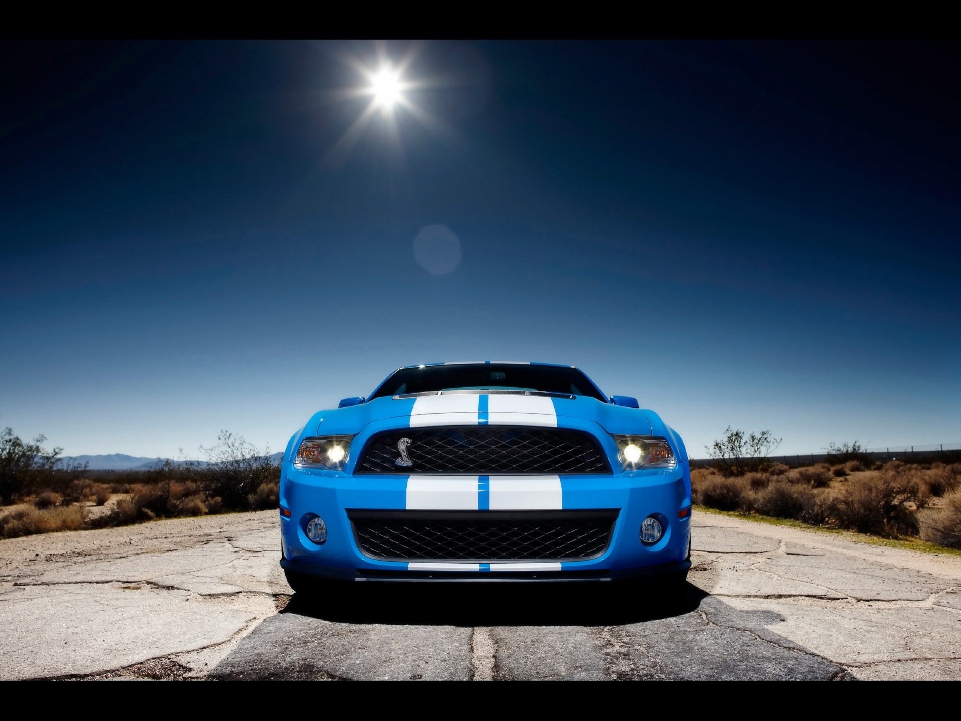 HD desktop wallpaper featuring a blue Ford Mustang Shelby GT500 with white racing stripes, set against a clear sky and desert landscape.