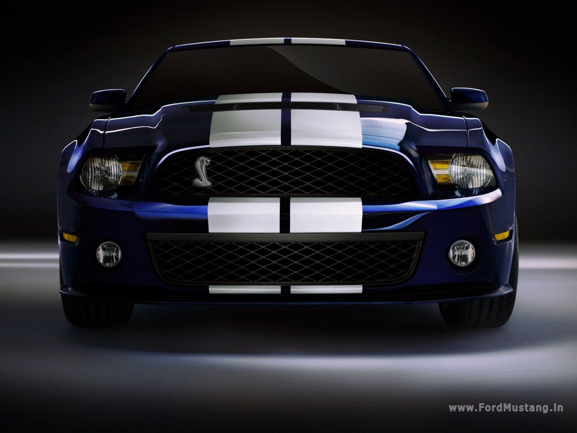 HD PC desktop wallpaper featuring a striking Ford Mustang Shelby GT500 with bold white racing stripes on a dark background.