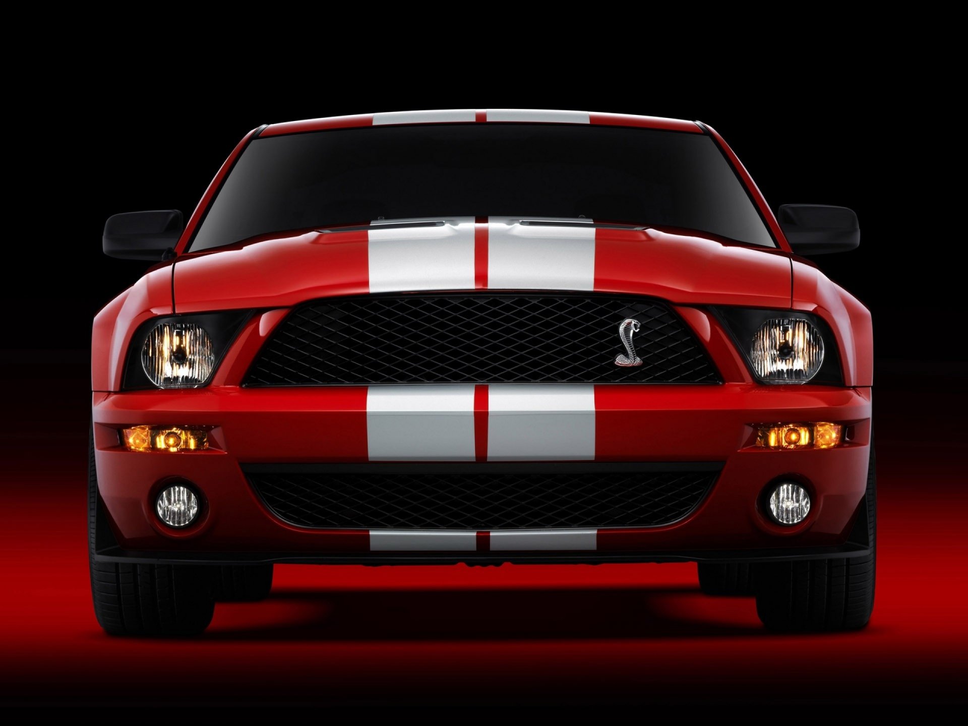 Front view of a red Ford Mustang Shelby GT500 with white racing stripes on a dark red background, shown as an HD PC desktop wallpaper and background.