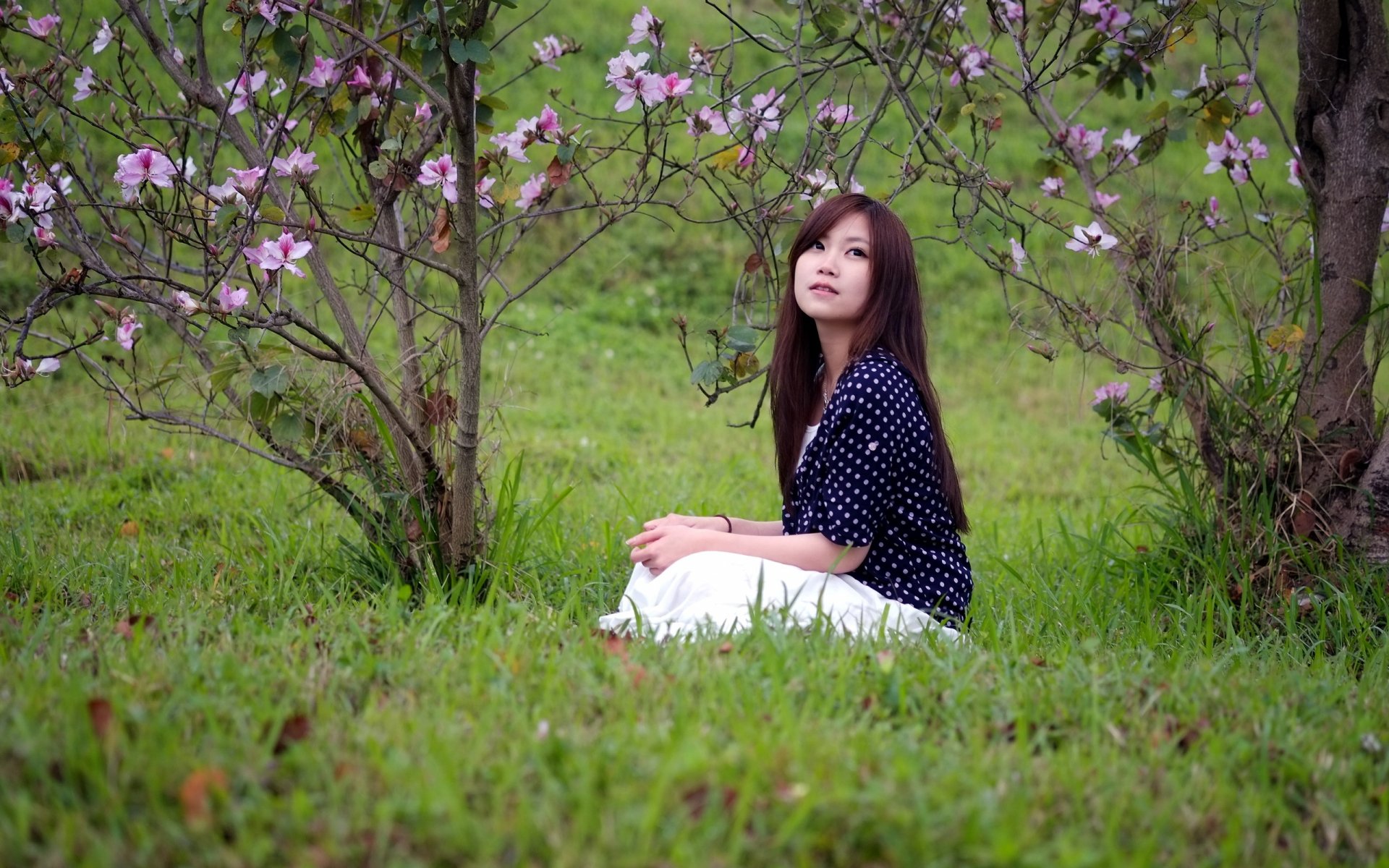 A woman of Asian descent sits in a lush green field beside blooming trees with pink flowers, captured in a high-definition background desktop wallpaper.
