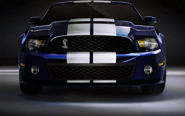 vehicle Ford Mustang Shelby GT500 HD Desktop Wallpaper | Background Image
