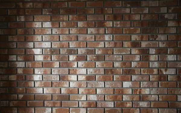 HD photography of a textured brick wall, presented as a PC desktop wallpaper and background, showcasing detailed red and brown bricks with natural light shadows.