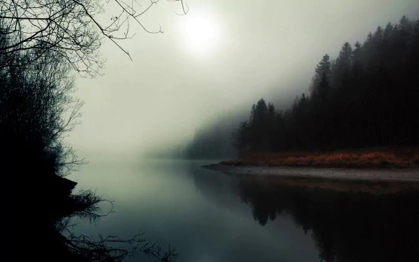 A serene misty landscape featuring a calm river reflecting dark silhouettes of trees, enveloped in fog. This HD wallpaper captures the tranquility of nature.