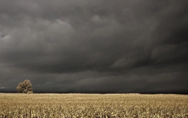 nature storm HD Desktop Wallpaper | Background Image