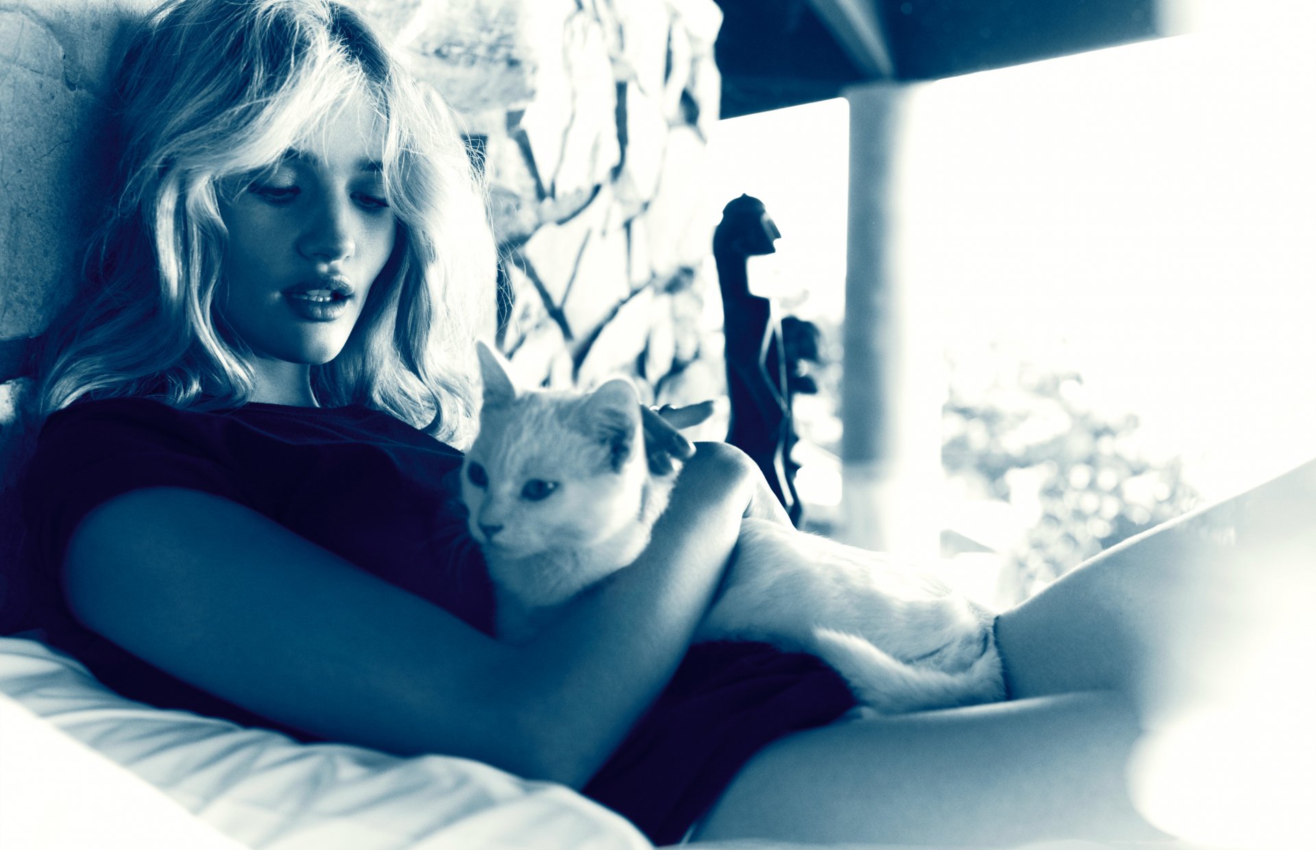 HD PC desktop wallpaper featuring celebrity Rosie Huntington-Whiteley holding a white cat in a softly lit, intimate setting.