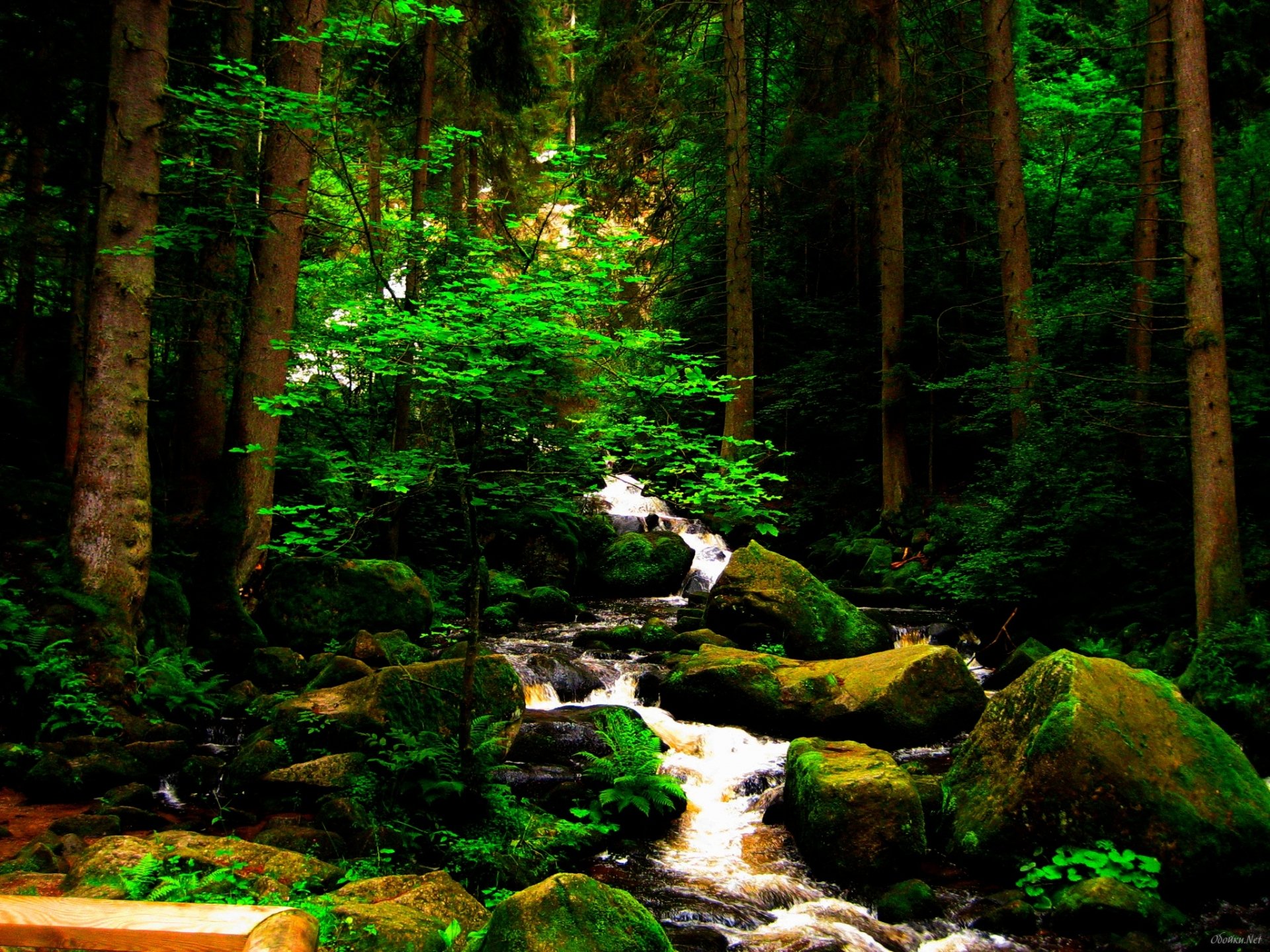 Download Nature Stream HD Wallpaper